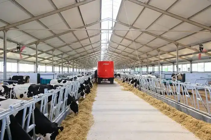 Как в Карагандинской области сдерживают цены на продукты (7)