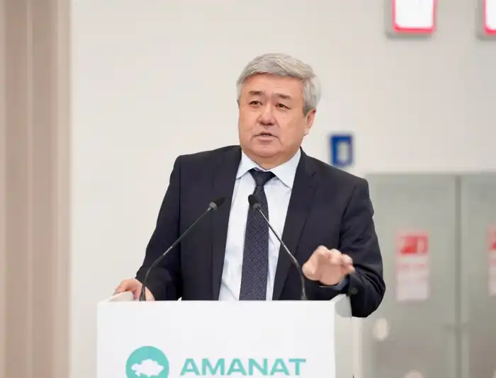 За 5 лет в селах Казахстана обновят 79 тысяч км электросетей (2)