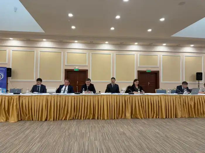 Айша Айткалиева на консультации ООН в Алматы