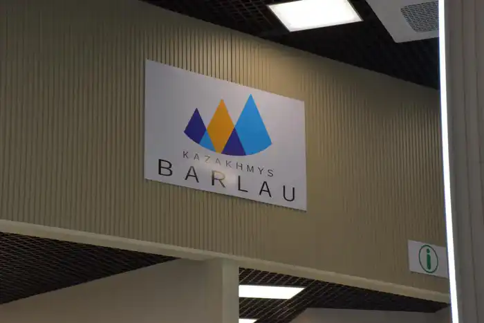 Геологический кластер мирового уровня открылся в Жезказгане (2)