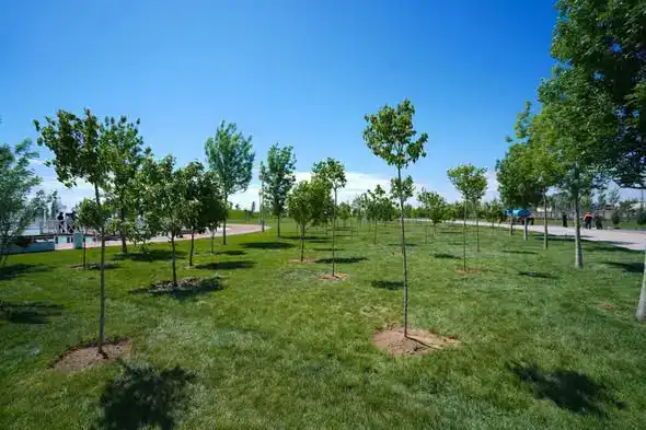 40 тысяч человек собрали 186 тонн мусора в Туркестане