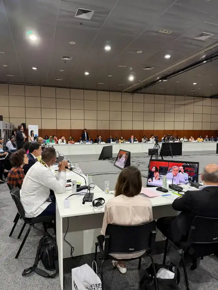 Вице-министр Мансур Ошурбаев принял участие сессии высокого уровня по запуску национальных платформ (3)