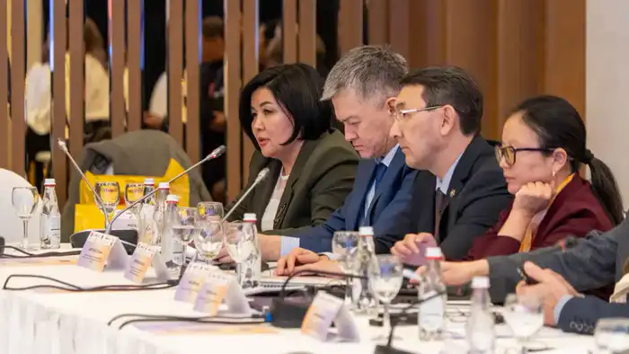 Международная конференция в Алматы: стратегический подход к борьбе с бытовым насилием Шымкенте