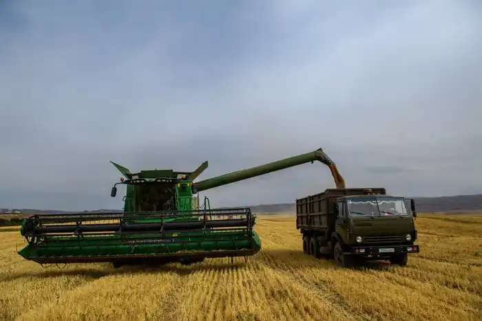 В Жетісу объем переработки производимой в регионе продукции достиг 68% (10)