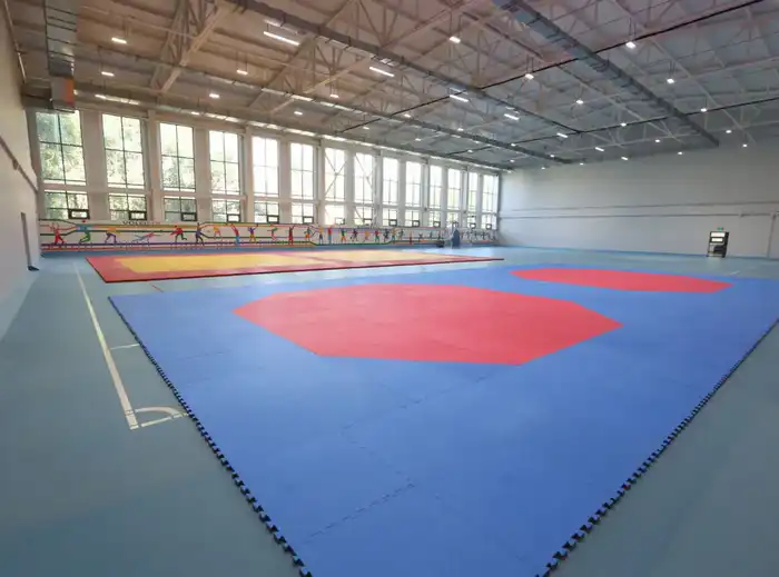 Алматы наращивает спортивную инфраструктуру (3)