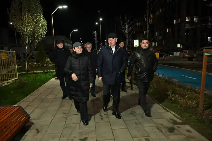 Дархан Сатыбалды оценил результаты освещения фасадов в новых микрорайонах (4)