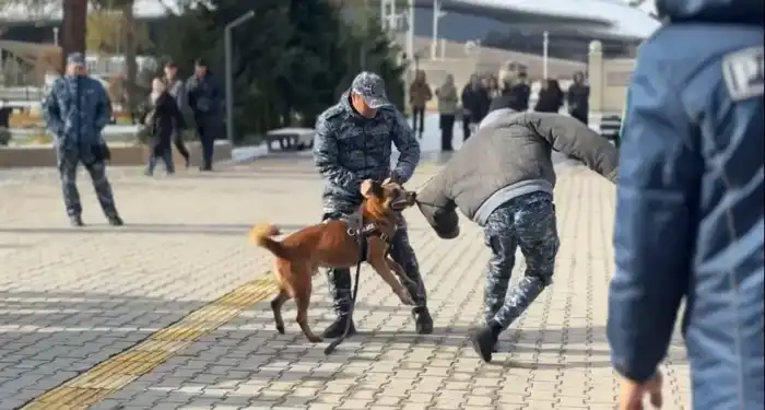 Обучение студентов важности законопослушного поведения через демонстрацию работы полицейской собаки в Жетысуском университете