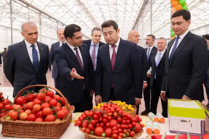 В ШЫМКЕНТЕ ПОЛУЧИЛИ ПЕРВЫЙ УРОЖАЙ ТОМАТОВ В ТЕПЛИЧНОМ КОМПЛЕКСЕ «ALSERA KZ» (7)