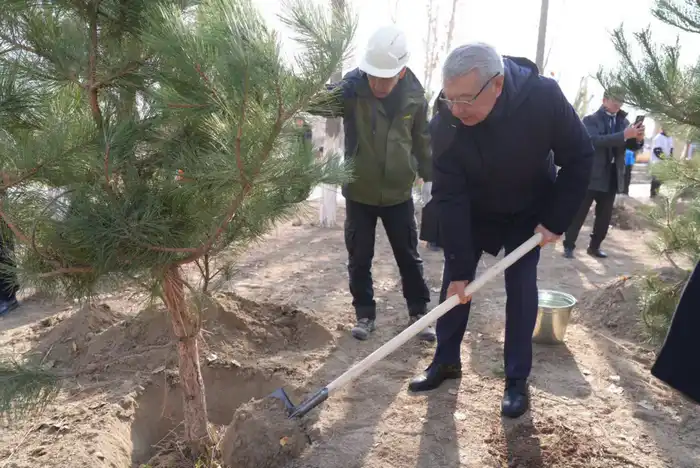 Ветераны приняли участие в церемонии посадки деревьев в рамках программы «Таза Қазақстан» (7)