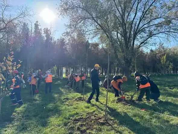 Сайрамский район высадка 100 деревьев очистка земли от мусора восстановление природы