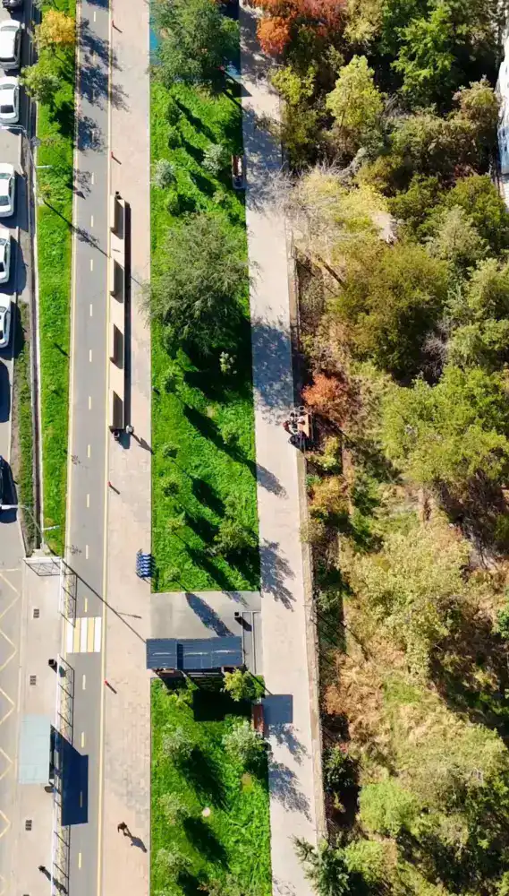 Больше зелени и света — в Алматы на улице Торайгырова завершили масштабное обновление (4)