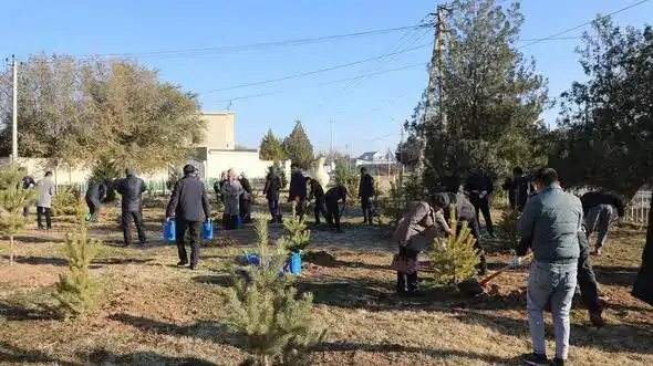 Арысь оживает: 4000 деревьев в едином порыве!