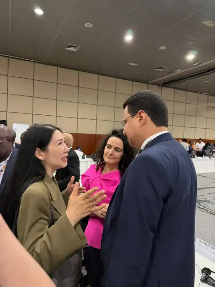 Запуск национальных климатических платформ: 14 стран объединяются для решения климатических вызовов