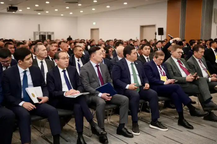 За 5 лет в селах Казахстана обновят 79 тысяч км электросетей (5)