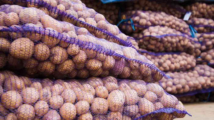 Вице-премьер Жумангарин: картофель в Казахстане не подорожал