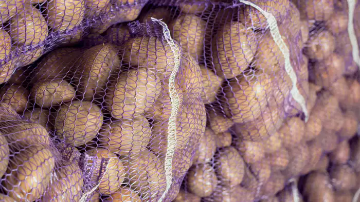 Картофель: что стоит за ростом цен в прошлом году?