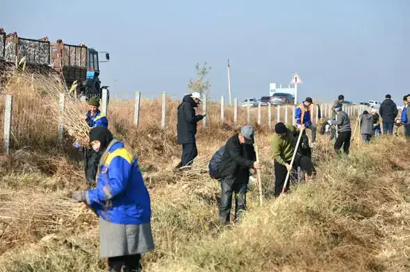 В Жетысайском районе высадили 7000 саженцев в рамках экологической инициативы