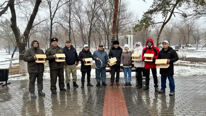 «Птицы на зимнем пиршестве»: в парке Майкудука появились кормушки для пернатых