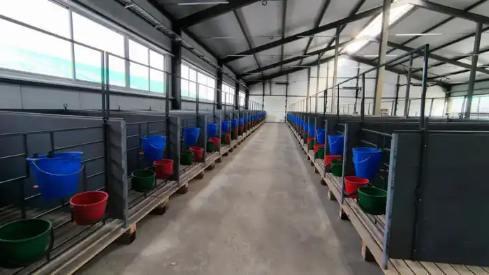 Запуск молочно-товарной фермы на 1200 голов в Костанайской области