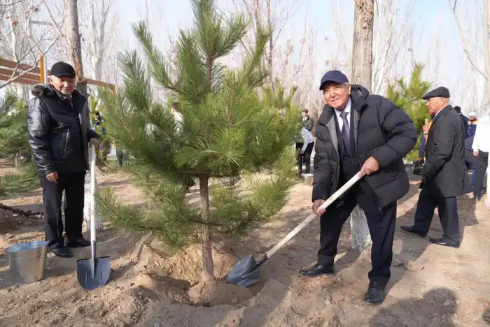 Ветераны приняли участие в церемонии посадки деревьев в рамках программы «Таза Қазақстан» (9)