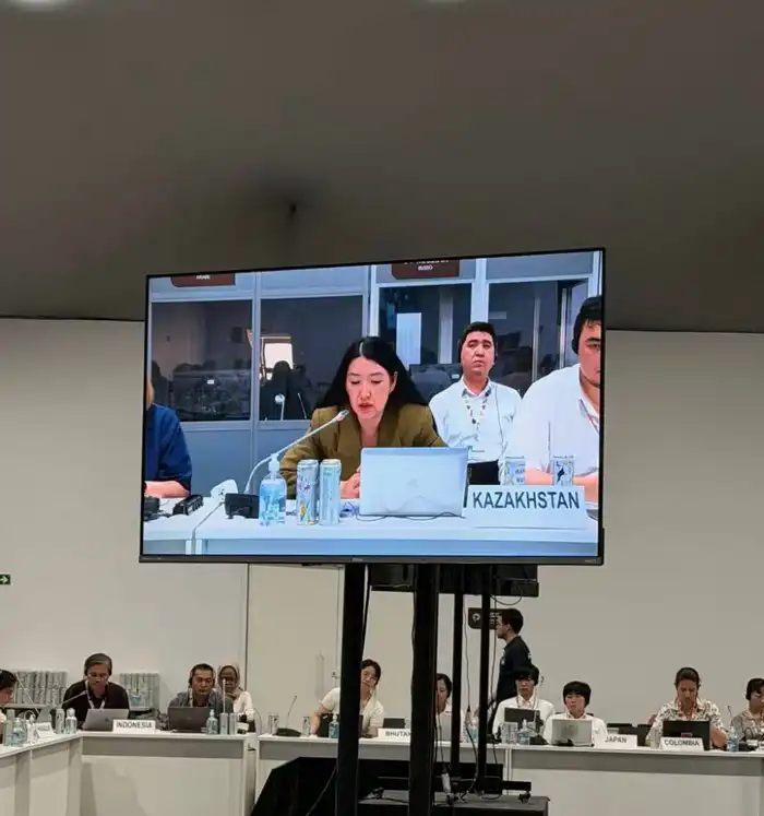 Сессия многостороннего содействующего рассмотрения прогресса