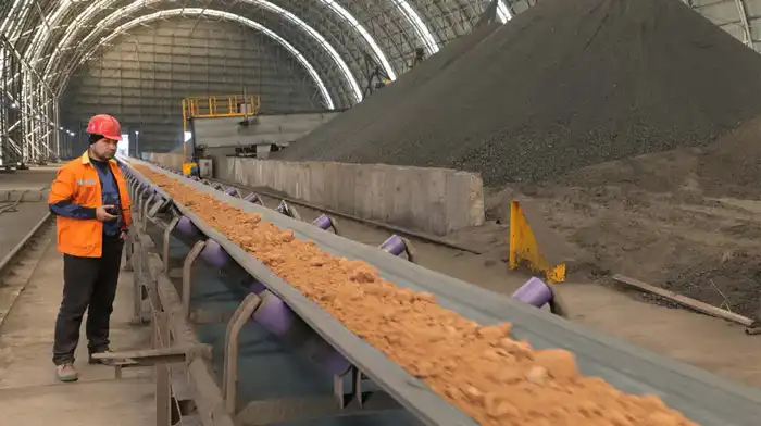 С начала образования области Жетісу в экономику Кербулакского района привлечено свыше 128 млрд. тенге инвестиций (6)