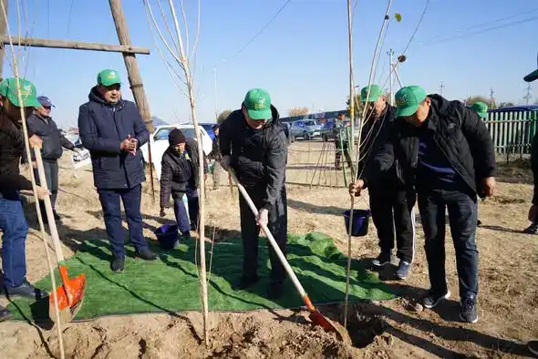 Казыгурт: Более 5000 деревьев для будущего