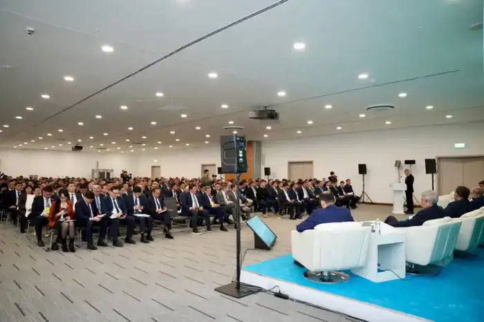 За 5 лет в селах Казахстана обновят 79 тысяч км электросетей (4)