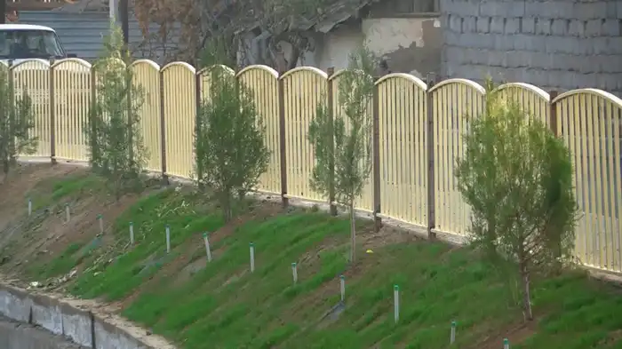 В Келесе прошла акция по озеленению: местные жители высадили 25 тысяч саженцев