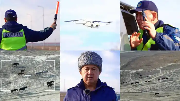 Дроны помогают предотвратить ДТП в Атырау