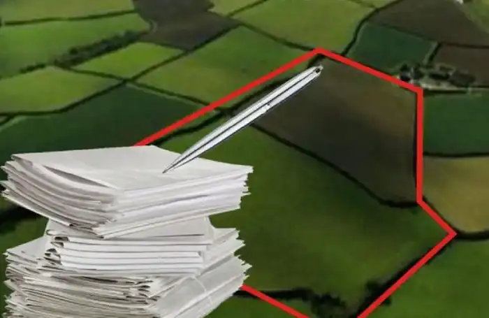 Незаконные корни: земля в Абайской области освобождена от самовольного захвата