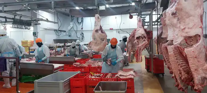 Казахстанские предприятия соответствуют международным стандартам: добавлены в Реестр импортеров ОАЭ