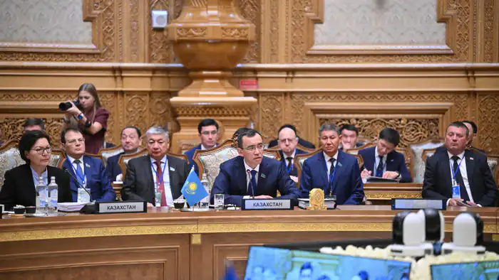 Модельный закон о противодействии семейно-бытовому насилию, инициированный Казахстаном, одобрен Межпарламентской ассамблеей СНГ