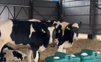 Государственная поддержка в 15 млрд тенге стимулирует рост агропромышленного комплекса Актюбинской области