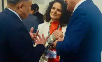 Зеленый климат: новый взгляд на устойчивые инвестиции