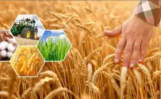 Актюбинская область: Золотой урожай на 296,8 млрд тенге и новые горизонты аграрного развития