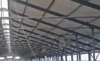 Развитие молочного животноводства в Павлодарской области: первая партия племенных телок для новой фермы