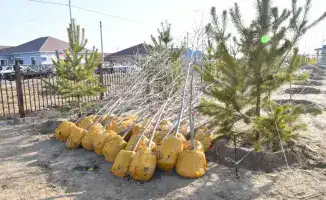 Атырау: 4000 деревьев для зелёного будущего!