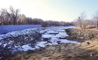 Инвентаризация деревьев в Центральном парке Караганды
