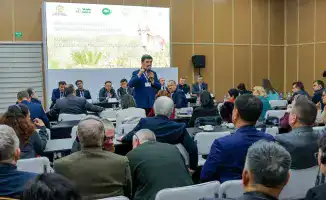 Устойчивое использование сайгака в Казахстане и Узбекистане