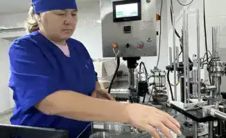 Коксуский район демонстрирует рост сельхозпродукции на 30,5 млрд. тенге с начала года