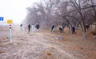 800 тысяч рук за чистоту: субботник в Казахстане!