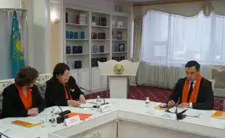 Омбудсмен подчеркивает необходимость улучшения механизмов защиты от домашней агрессии в контексте международной борьбы с гендерным насилием