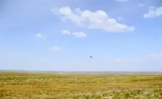 В области Абай завершено возвращение неиспользуемых сельскохозяйственных земель в государственную собственность