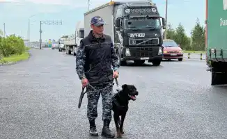 Служебная собака раскрыла тайну в BMW