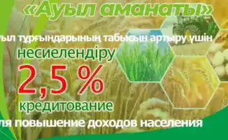 Запуск онлайн-платформы для льготного кредитования в рамках программы «Ауыл аманаты»