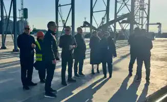 Контроль фитосанитарии в Актау: новые подходы