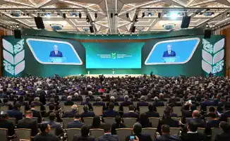 Увеличение числа ферм и поддержка государства: новые перспективы для животноводства в АПК