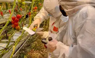 Платная фитосанитарная экспертиза: ключ к защите продовольственной безопасности Казахстана