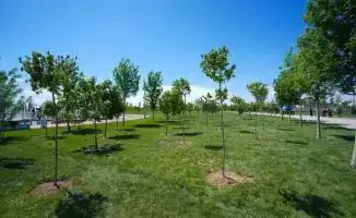 40 тысяч человек собрали 186 тонн мусора в Туркестане